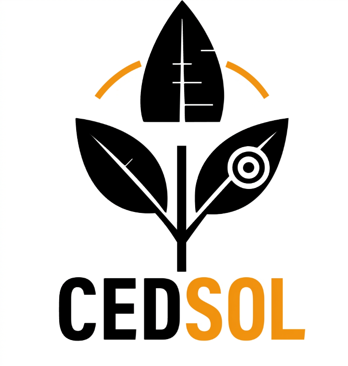 CEDSOL